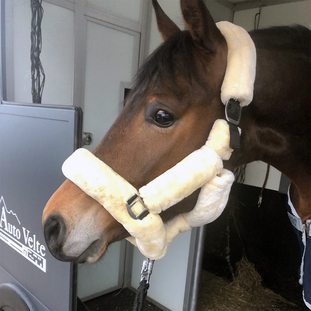 Zufriedener Fahrgast